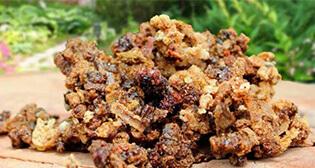 Закупаем прополис
